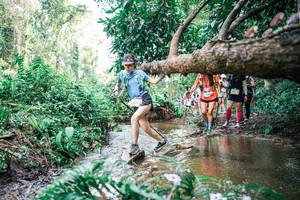 BIB: 
                            <button type="button" onclick="openModal(25516214)" class="btn btn-primary btn-sm float-right btn-popup" data-toggle="modal" data-target=".modal-high-quality">
                        <i class="fas fa-shopping-cart"></i> Add to Cart
                    </button>
                                            <button type="button" onclick="isThisMe(25516214, true)" class="btn btn-success btn-sm float-right btn-popup btn-isme hidden" data-toggle="tooltip" data-placement="bottom" title="นี่คือรูปของคุณใช่ไหม คลิกที่นี่เพื่อเอาเข้าอัลบั้ม">
                        <i class="fas fa-plus"></i> Add to album
                    </button>
                    <button type="button" onclick="isThisMe(25516214, false)" class="btn btn-warning btn-sm float-right btn-popup btn-isnotme hidden">
                        <i class="fas fa-ban"></i> Remove from album
                    </button>